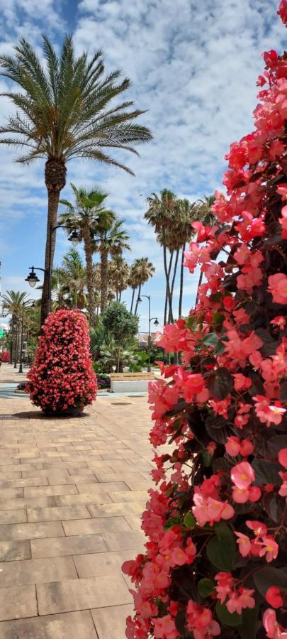 Apartamento A 150 Metros De La Playa Y Del Puerto Deportivo Estepona Luaran gambar